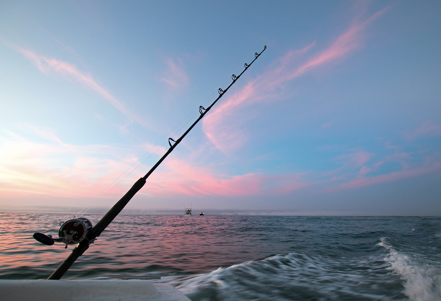 Cabo Fishing Tournaments