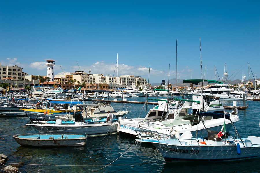 Cabo San Lucas Marina